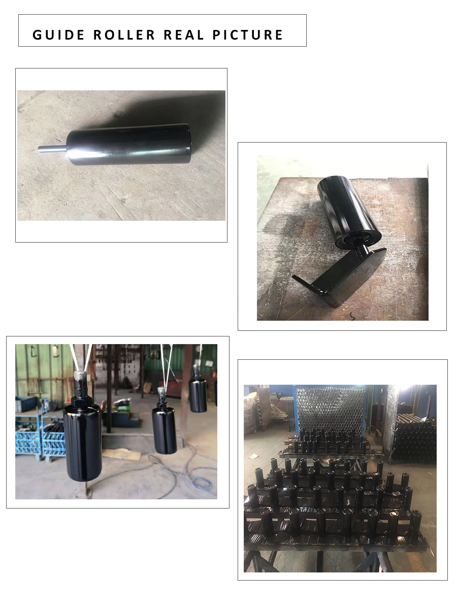 Conveyor guide roller for GCS